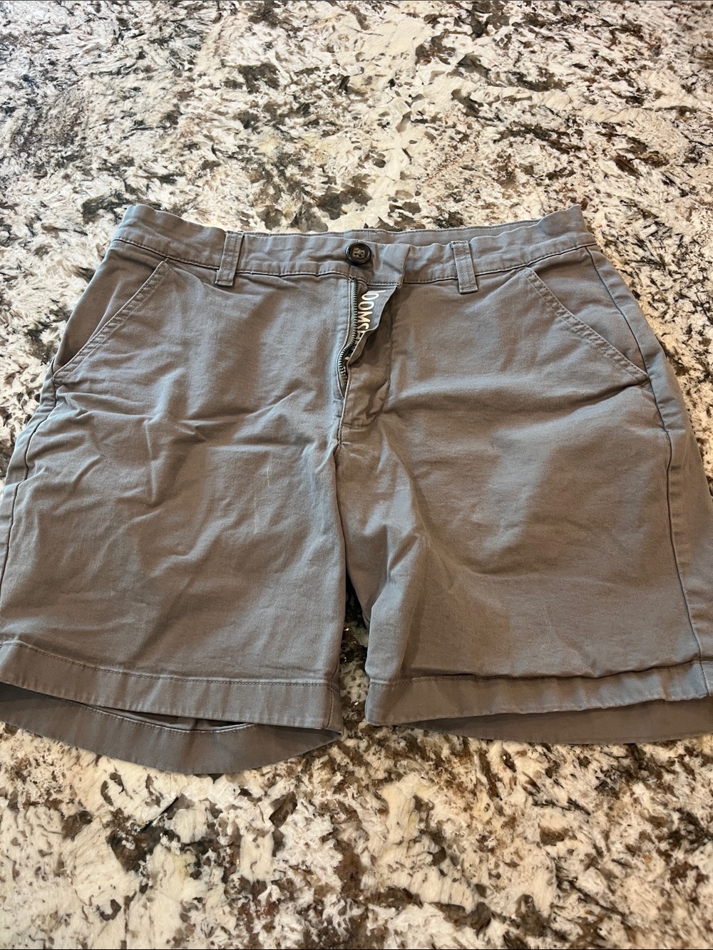 Chubbies Gray Shorts